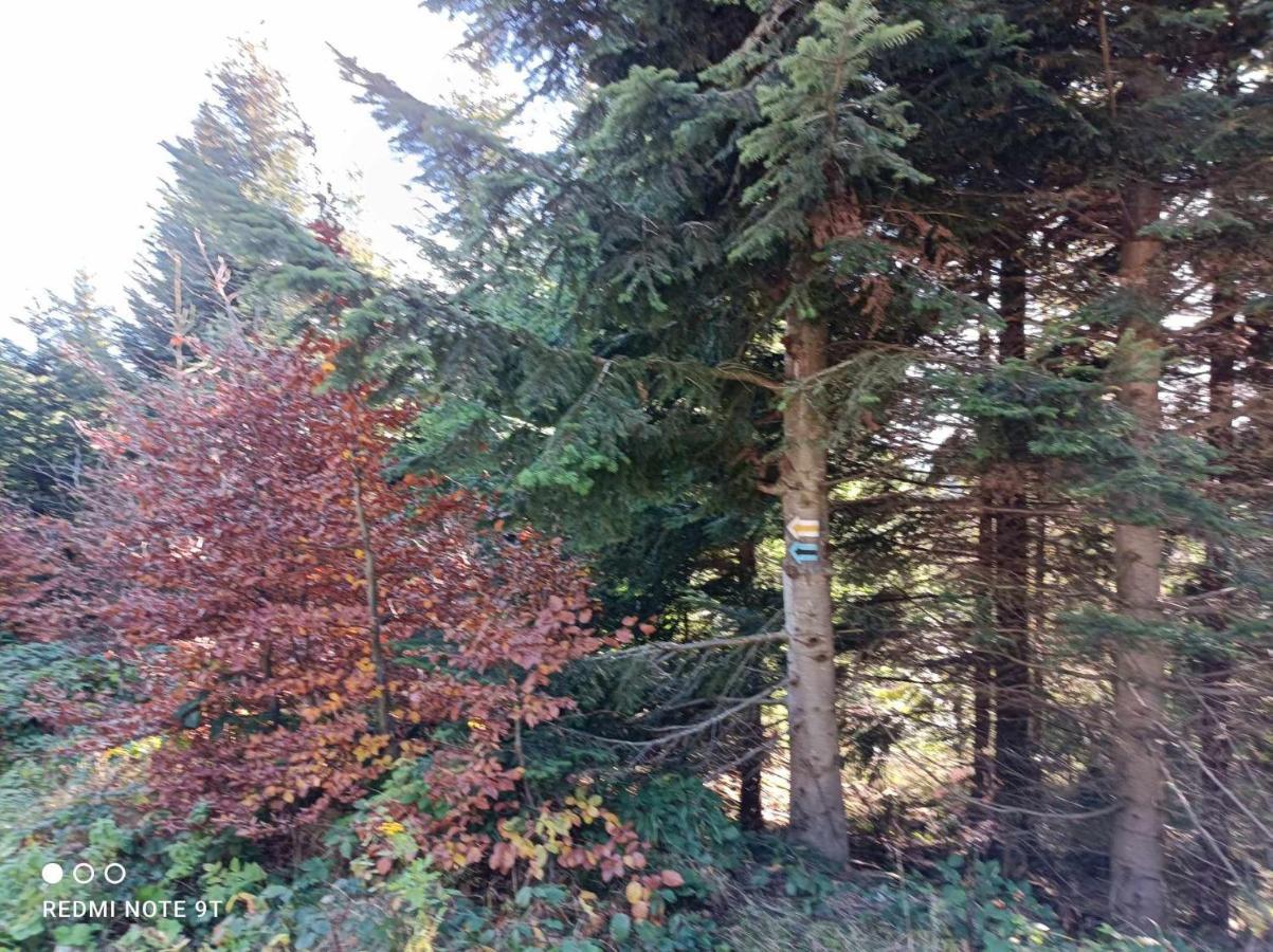 Domowe Zacisze W Nickulinie Holiday home