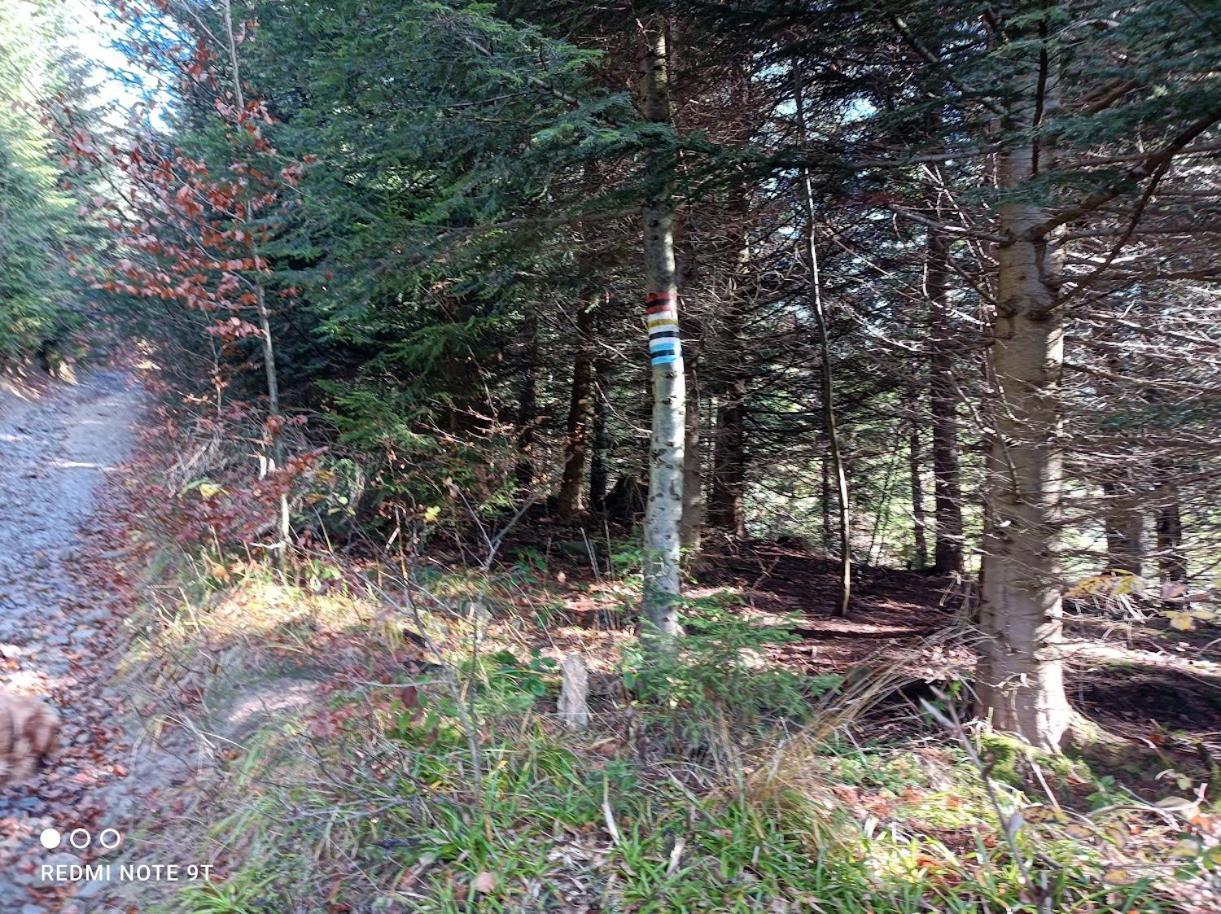 Holiday home Domowe Zacisze W Nickulinie Rajcza