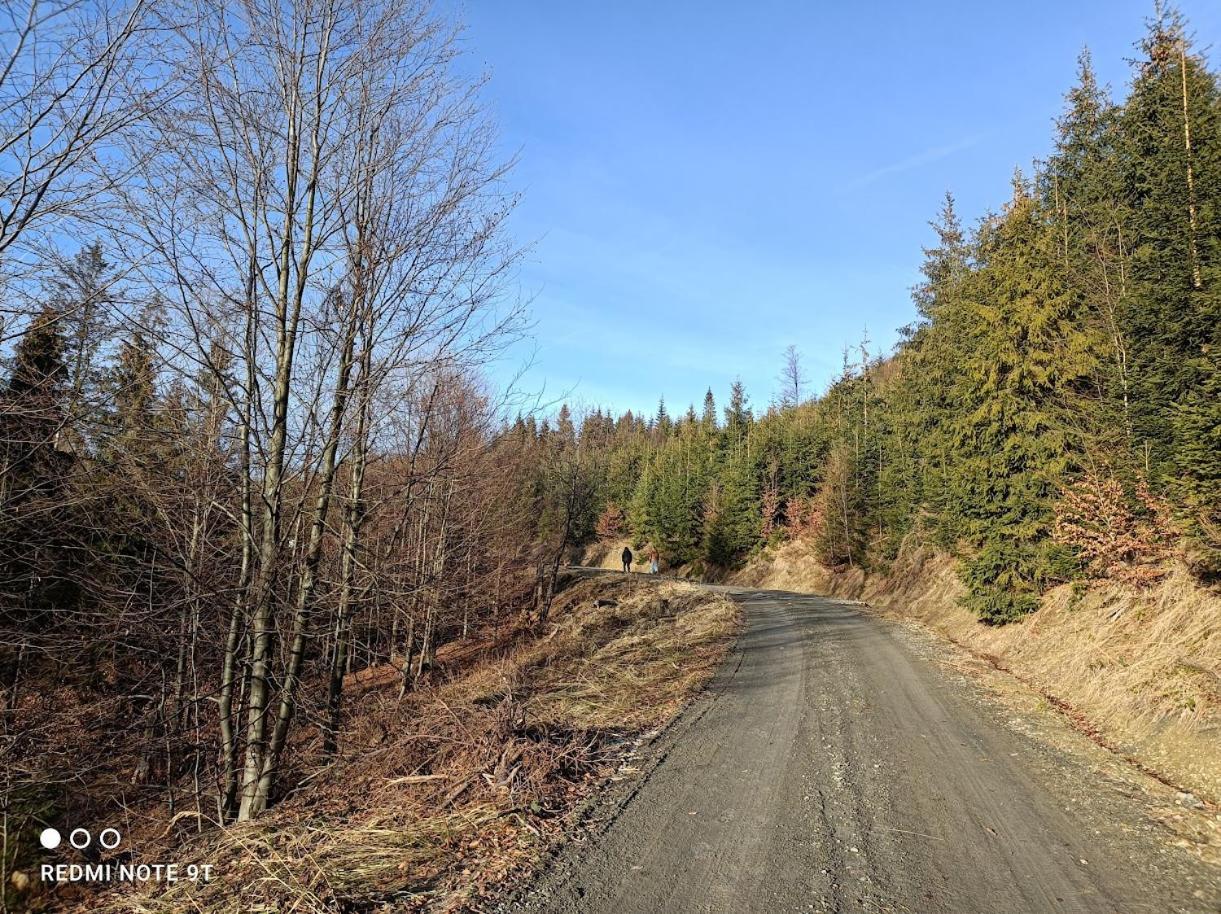 Domowe Zacisze W Nickulinie Holiday home Rajcza