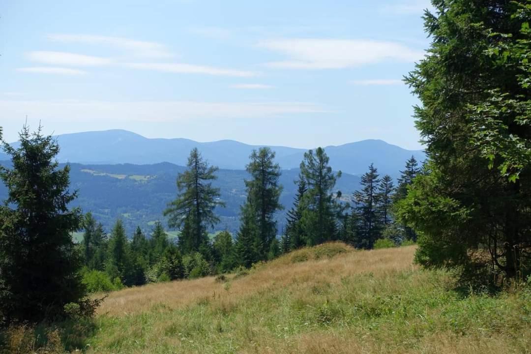 Domowe Zacisze W Nickulinie Holiday home Rajcza