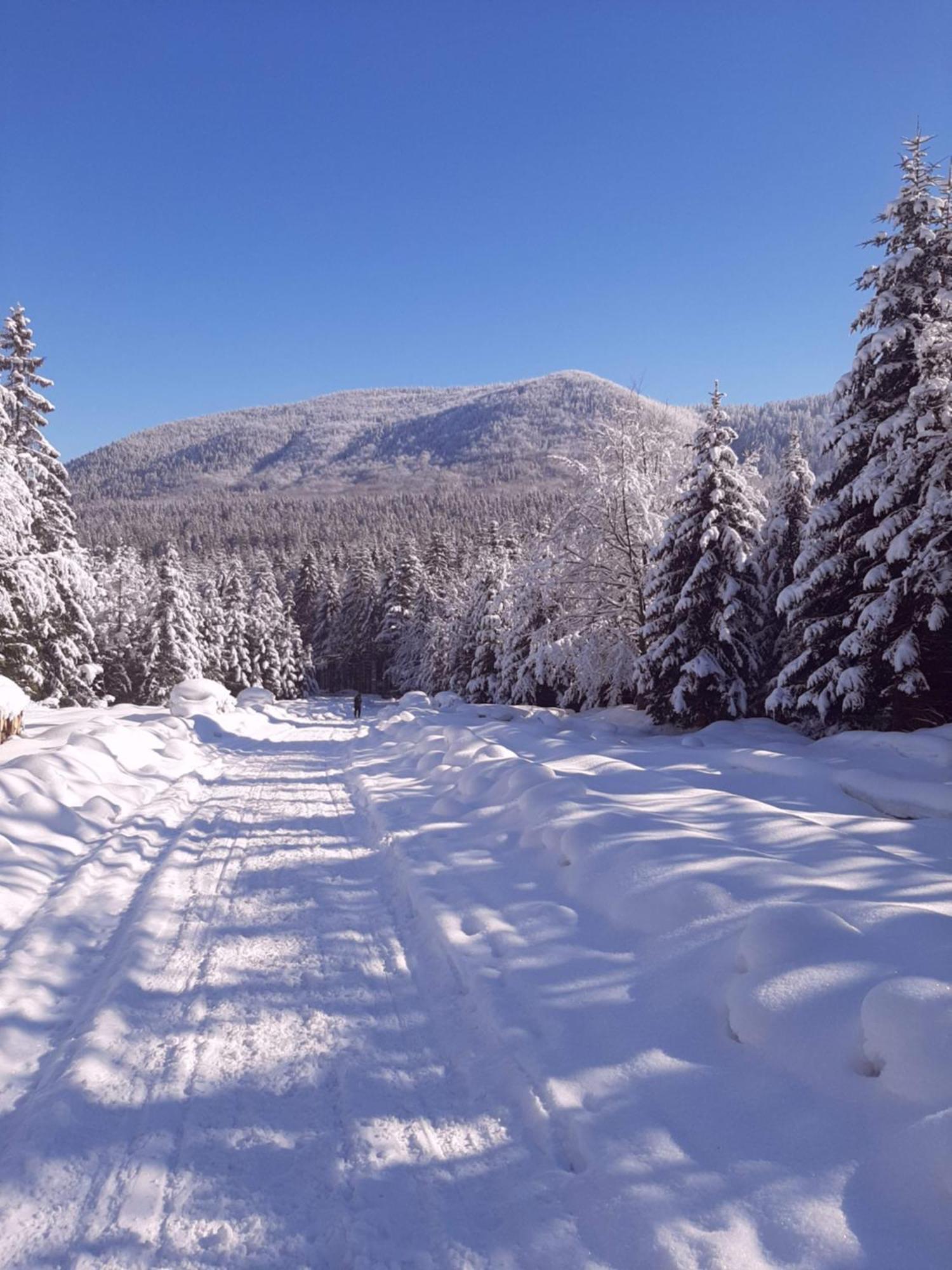 Domowe Zacisze W Nickulinie Holiday home *